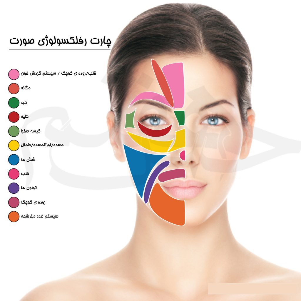 face reflexology chart