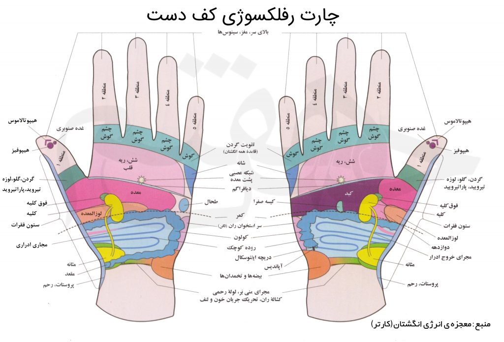 hand palmar